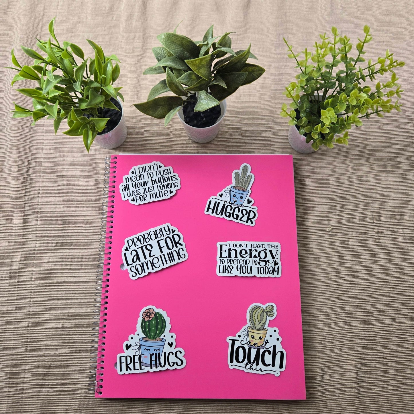 Funny Sarcastic Cactus Stickers - Vegas Custom Creations