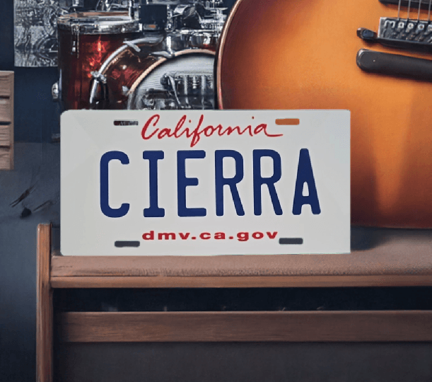 Personalized Decorative 6x12 License Plate - Vegas Custom Creations