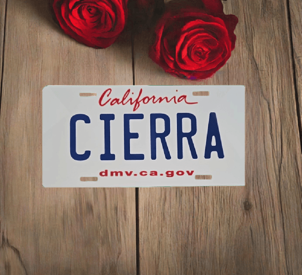 Personalized Decorative 6x12 License Plate - Vegas Custom Creations