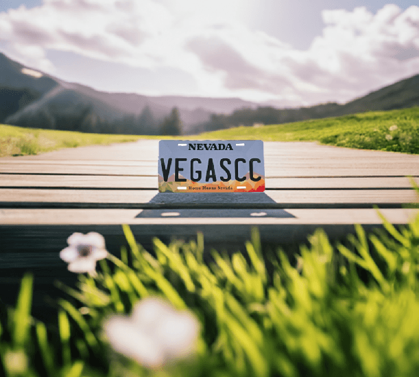 Personalized Decorative 6x12 License Plate - Vegas Custom Creations