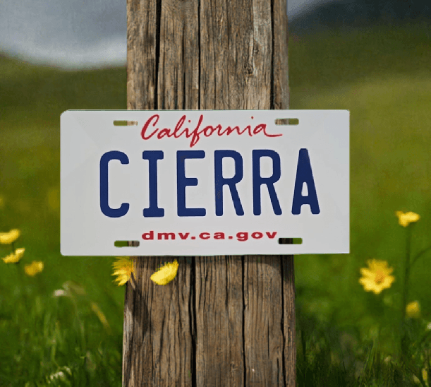 Personalized Decorative 6x12 License Plate - Vegas Custom Creations