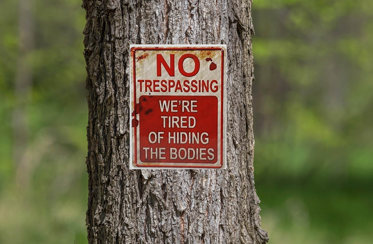 Funny NO TRESPASSING Sign Aluminum Sign 8x10 - Vegas Custom Creations