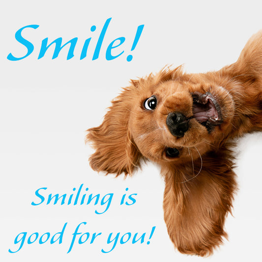 Smile! - Vegas Custom Creations