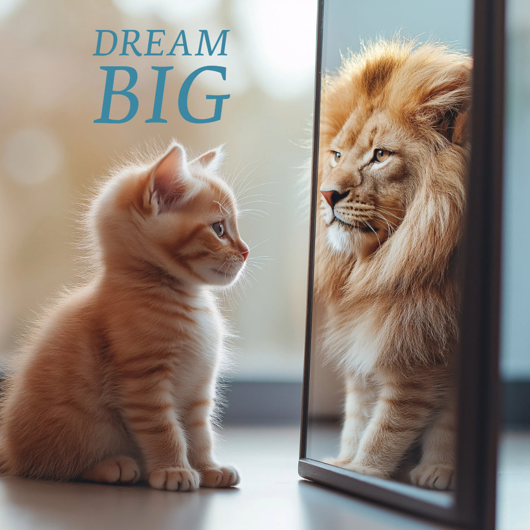 Dream Big - Vegas Custom Creations