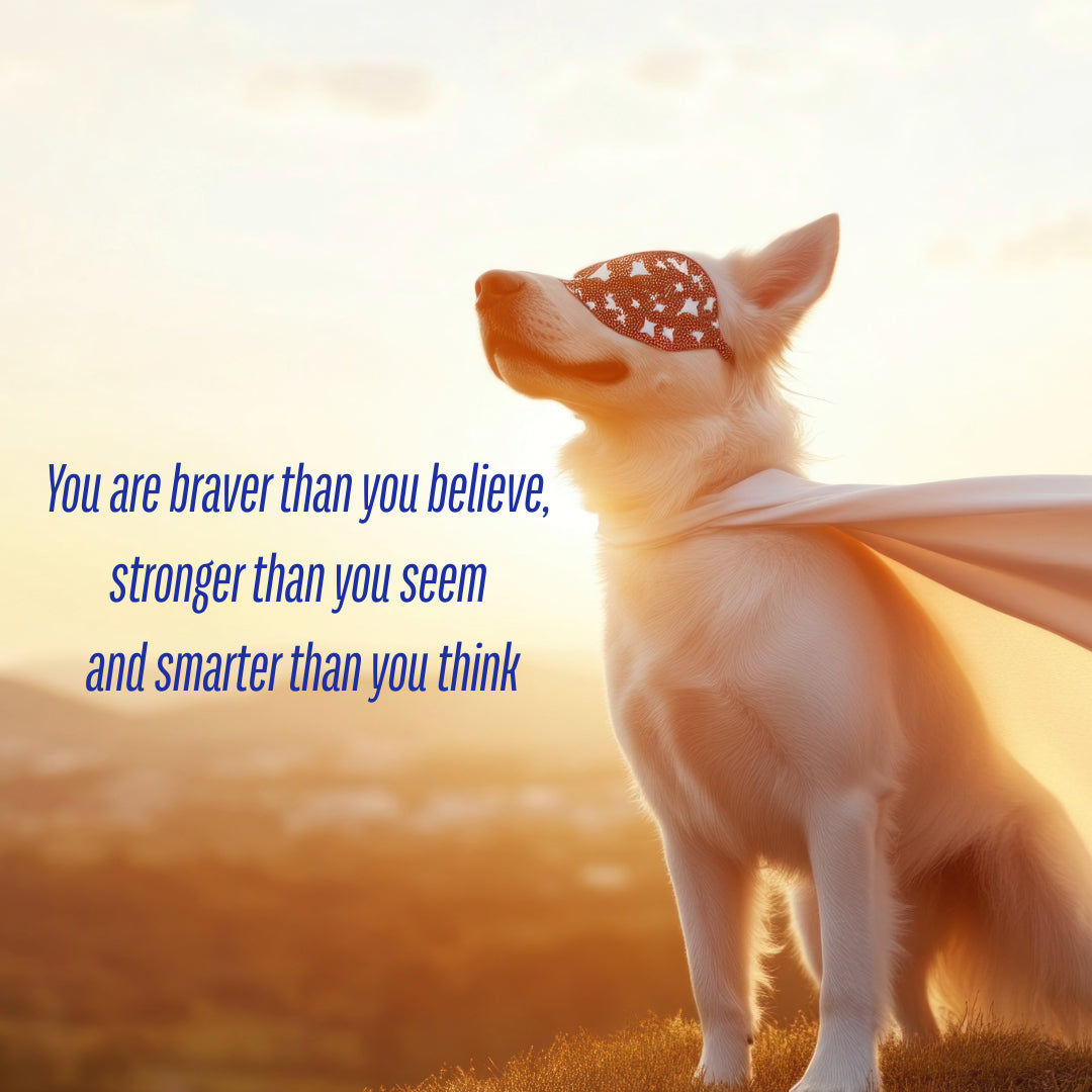 You are... - Vegas Custom Creations