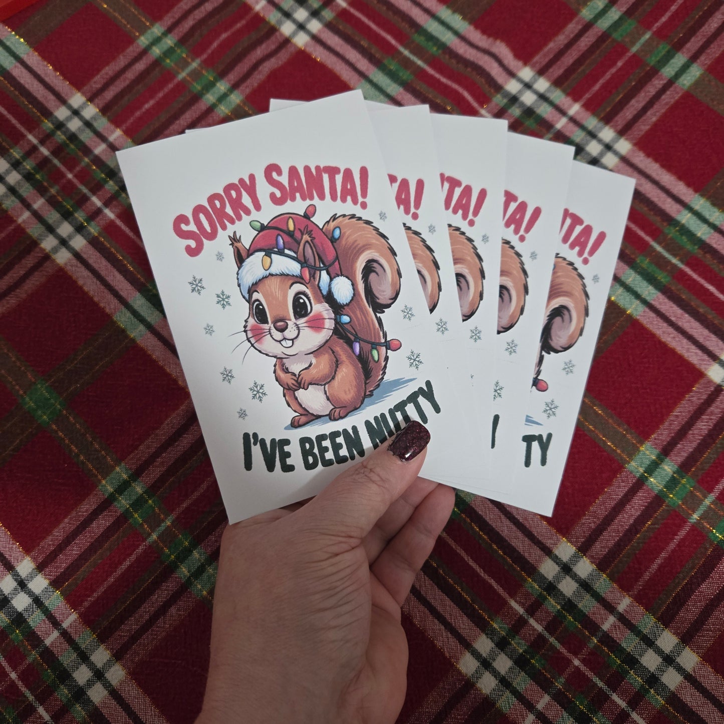 5-Pack Sorry Santa, I've Been Nutty Christmas Cards – 4x6 with Envelopes & Stickers