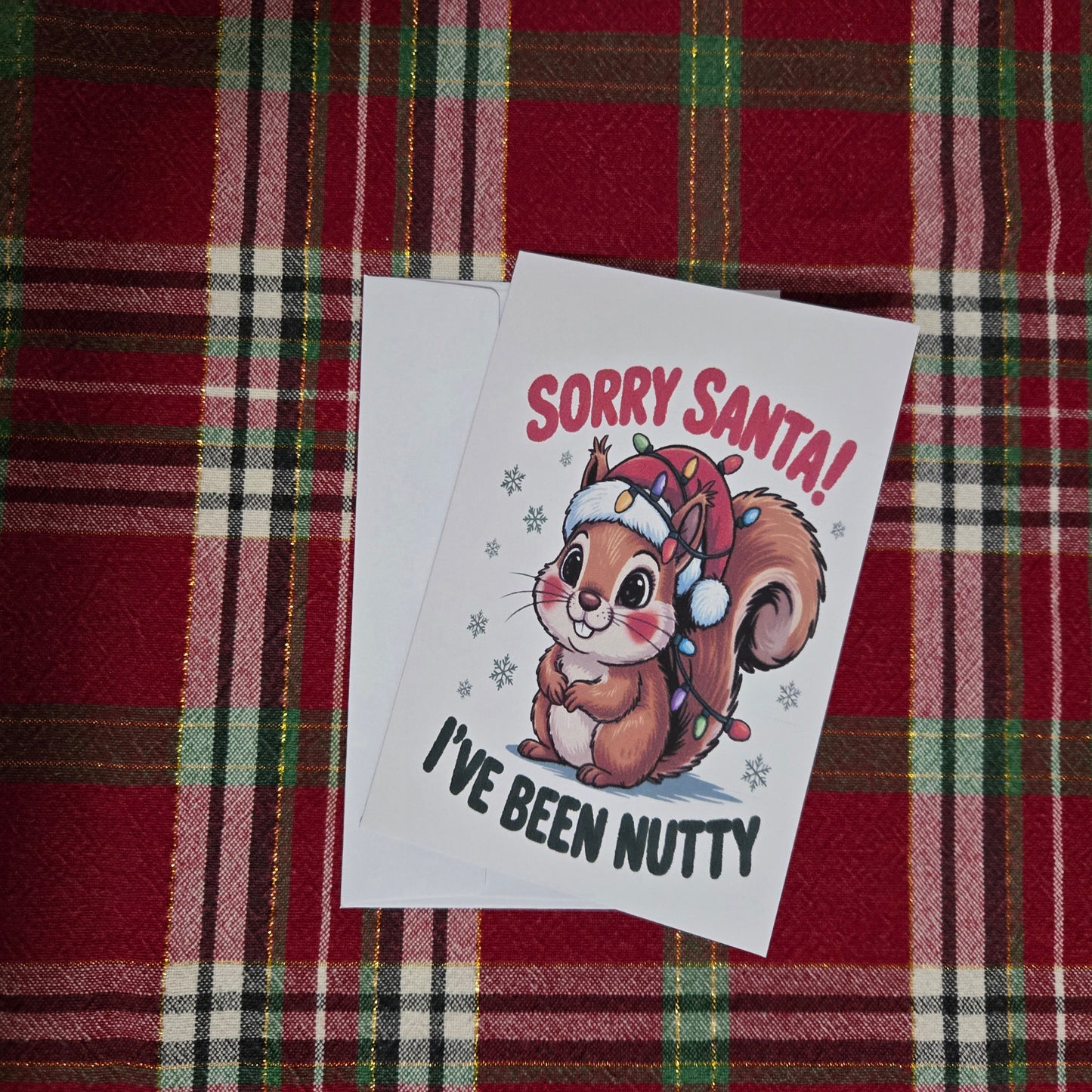 5-Pack Sorry Santa, I've Been Nutty Christmas Cards – 4x6 with Envelopes & Stickers