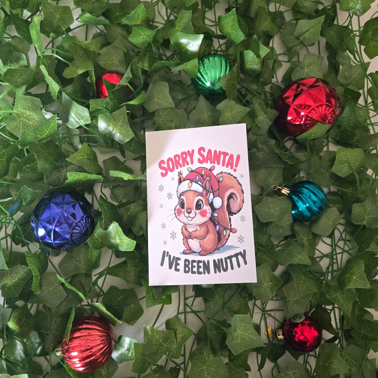 5-Pack Sorry Santa, I've Been Nutty Christmas Cards – 4x6 with Envelopes & Stickers