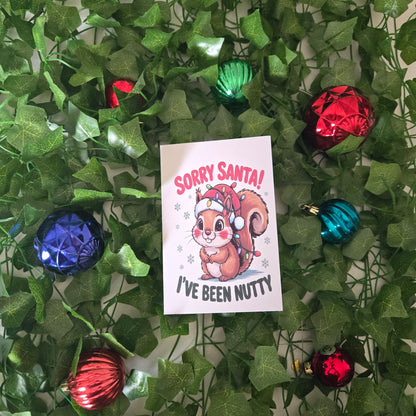 5-Pack Sorry Santa, I've Been Nutty Christmas Cards – 4x6 with Envelopes & Stickers