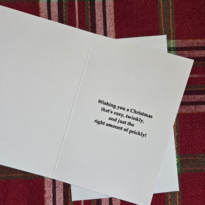 5-Pack Merry Cactmas Christmas Cards – 4x6 with Envelopes & Stickers